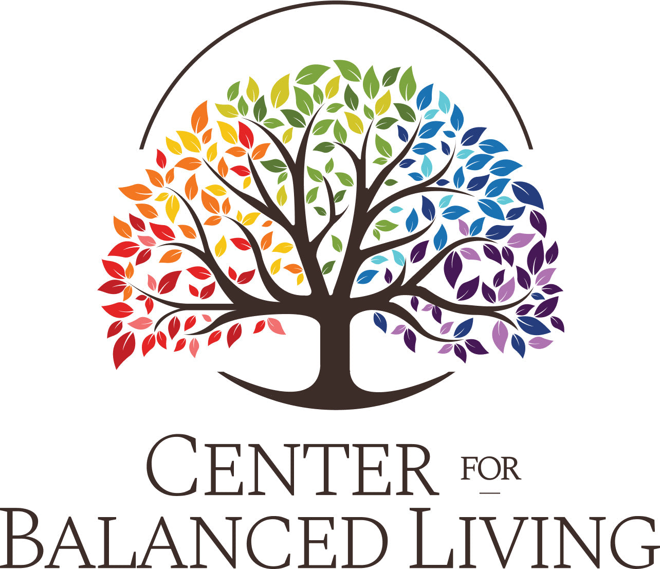 June 2025 Newsletter CFBL