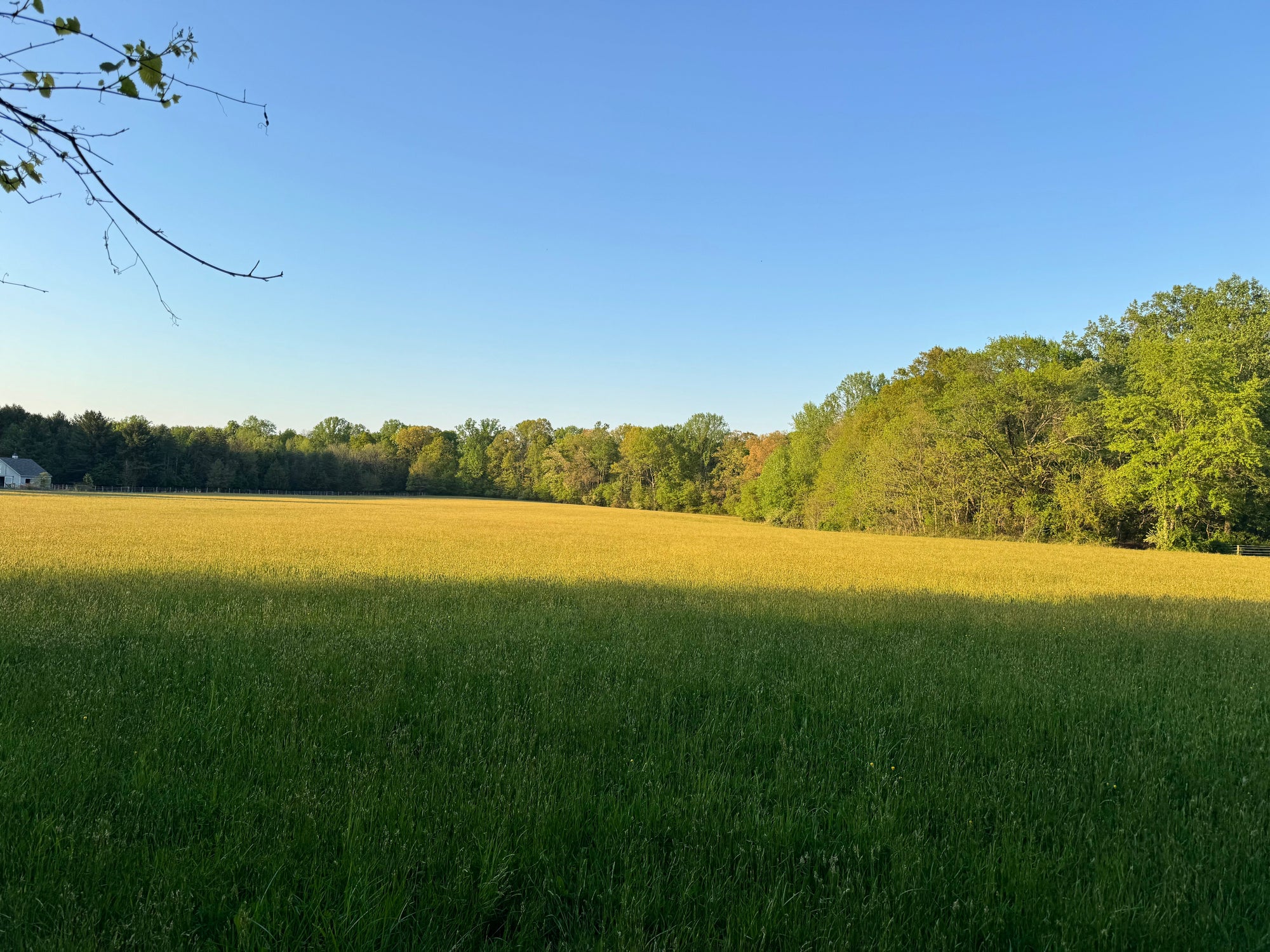 Nature Is Great. Ecotherapy Is More Than Just Going Outside