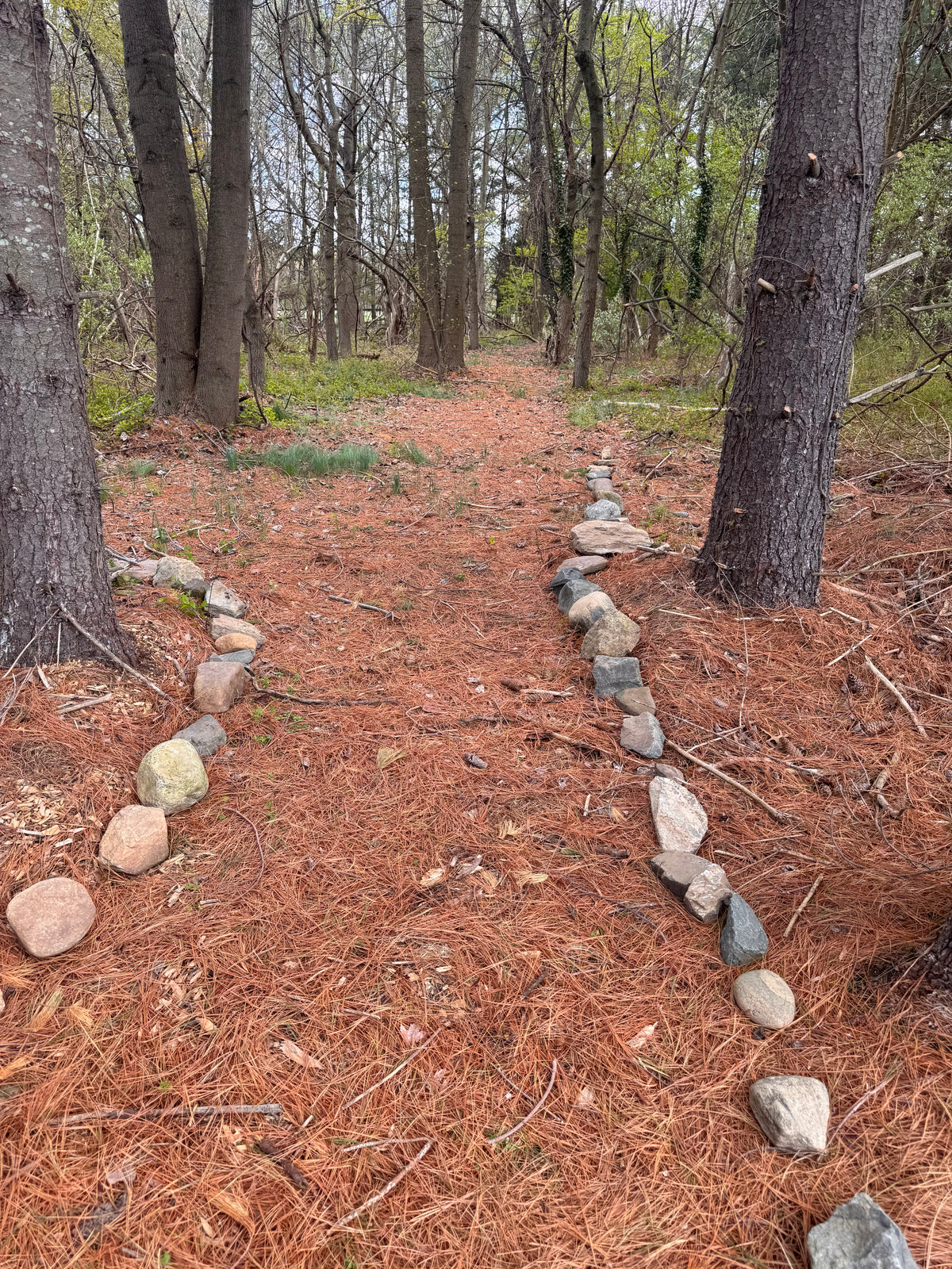 The meditation path on the Center for Balanced Living property