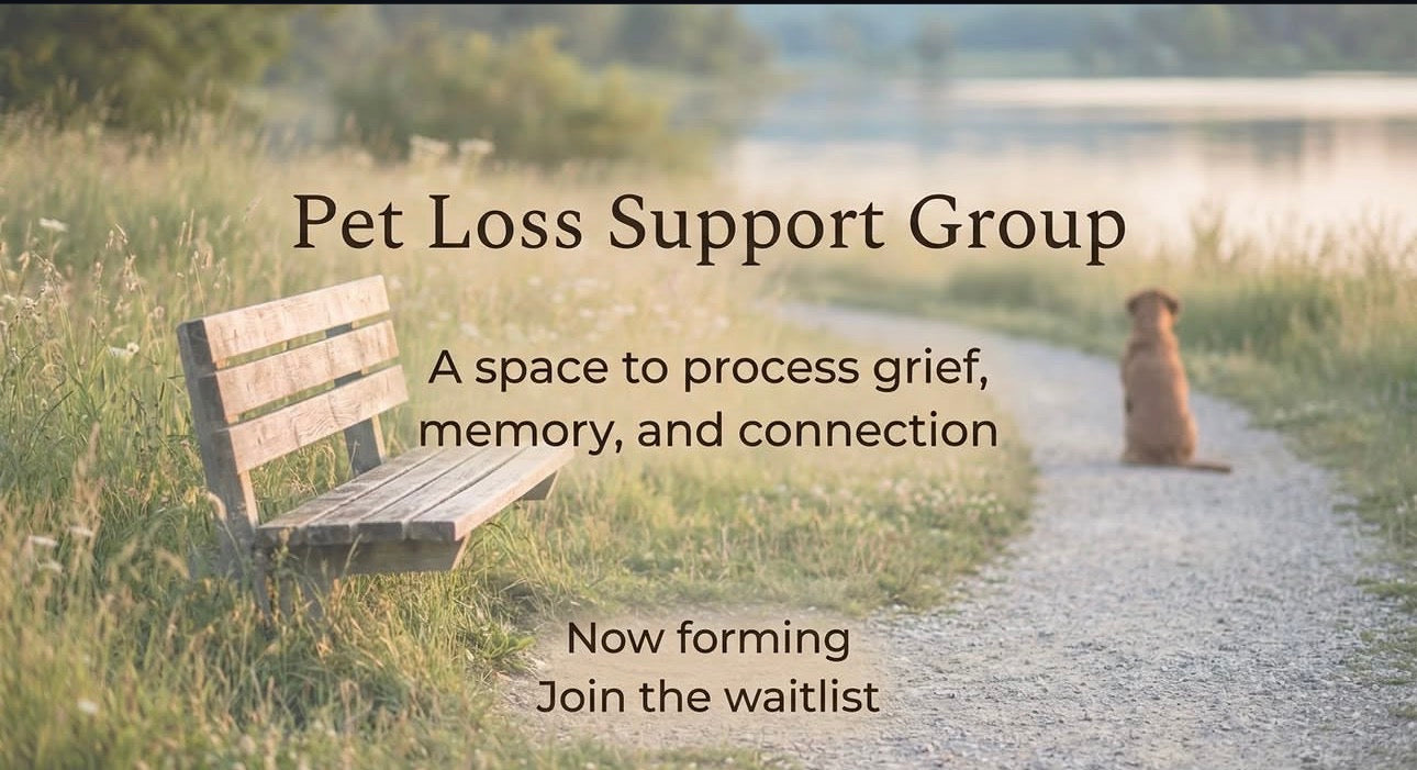 Pet Loss Support Group (In-Person)