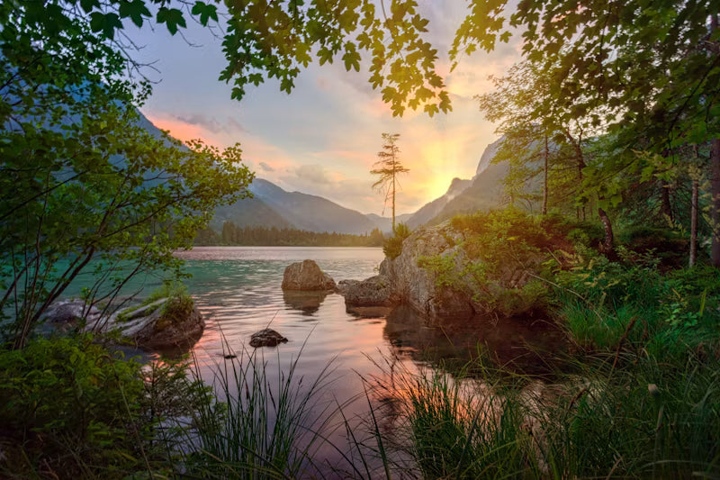 Calm lake and forest at dawn