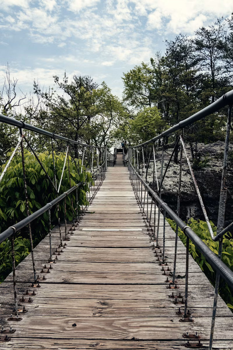 Footbridge through green woods