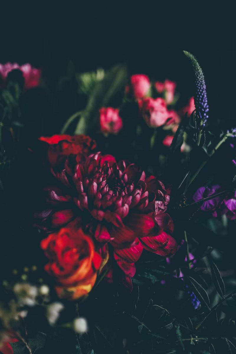 Blooming flowers
